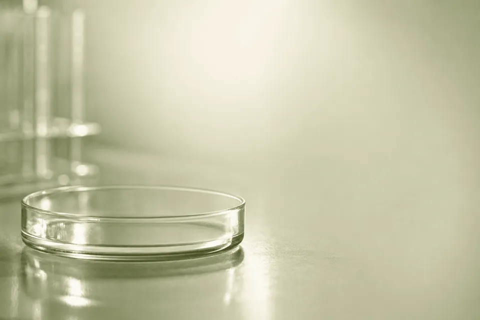 What Is Assisted Hatching — And Does the Evidence Support It? (2026)