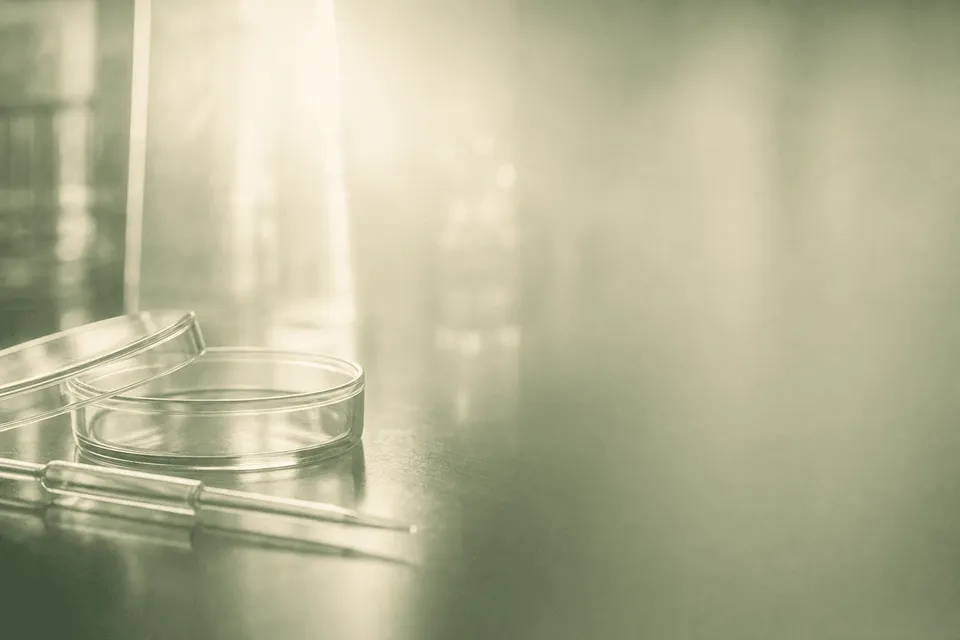 Choosing an IVF Clinic in India: What Actually Matters