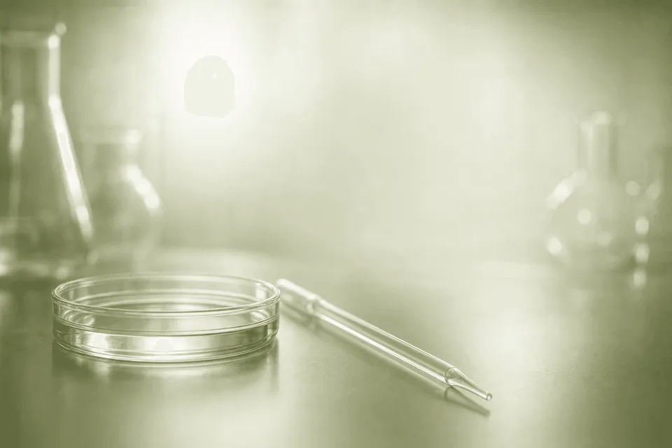 Searching for a Fertility Center Near Me: How to Find and Choose the Best Clinic for IVF Success