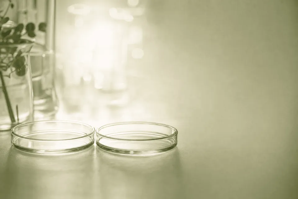 ICSI: A Breakthrough in Fertility Treatment